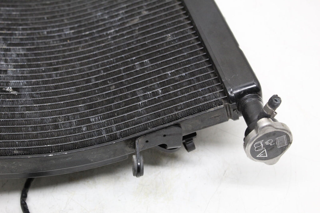 2013 Triumph Daytona 675R Engine Radiator Motor Cooler Cooling Radiater