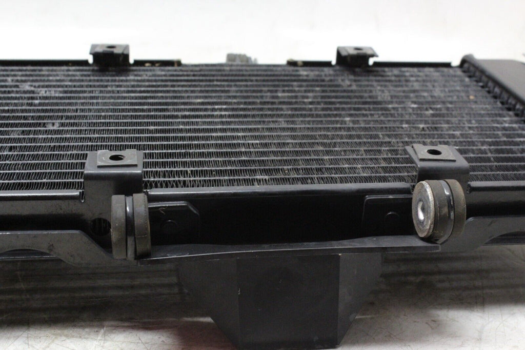 04-06 Yamaha Fz6 Oem Engine Radiator Motor Cooler Cooling Radiater