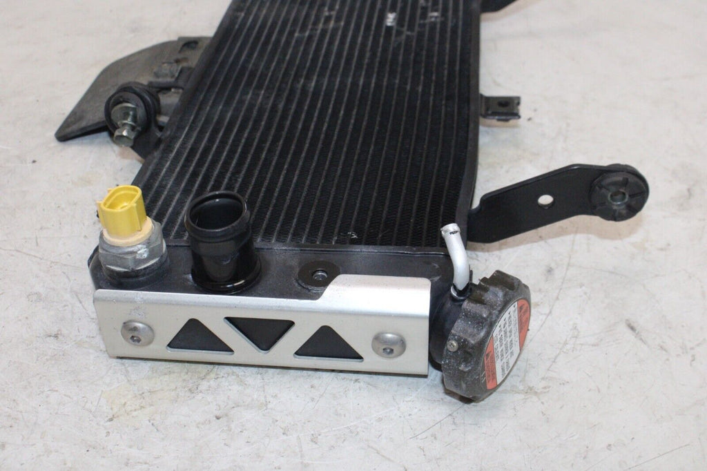 03-09 Suzuki Sv650S Oem Engine Radiator Motor Cooler Cooling Radiater