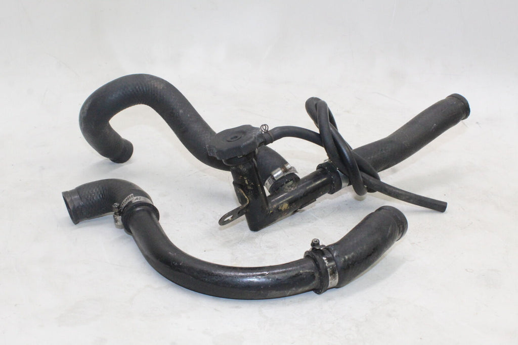 86-06 Kawasaki Concours 1000 Zg1000A Radiator Hoses Engine Pipes Oem