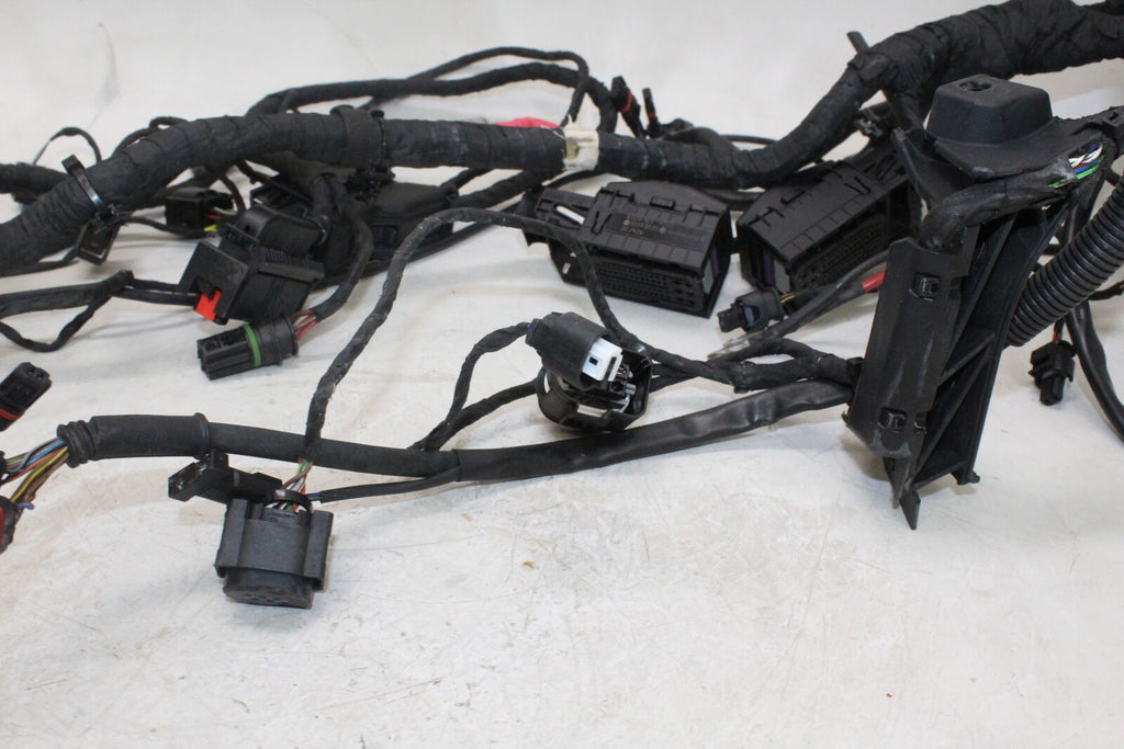 2008-13 Bmw F800Gs Standard Abs Main Engine Wiring Harness Motor Wire Loom Oem