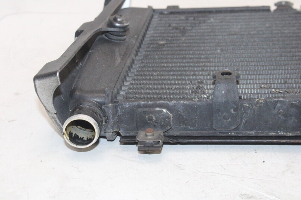 01-05 Yamaha Fz1 Fazer Fzs1000 Oem Engine Radiator Motor Cooler Cooling Radiater