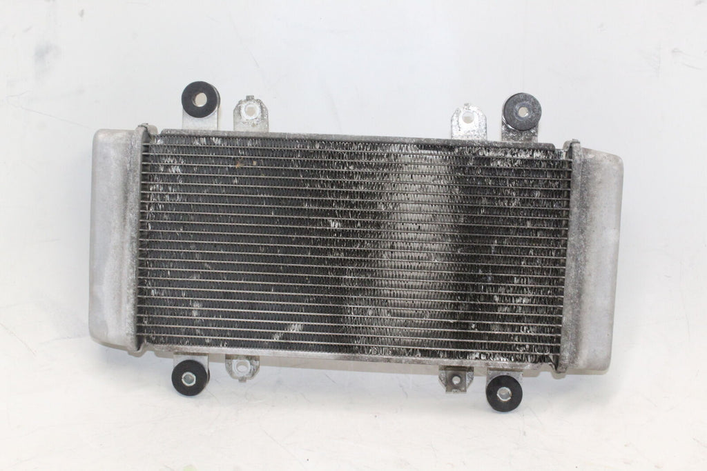 2013-17 Kawasaki Ninja 300 Ex300A Engine Radiator Motor Cooler Cooling Oem