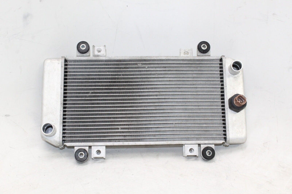 08-12 Kawasaki Ninja 250R Oem Engine Radiator Motor Cooler Cooling Radiater