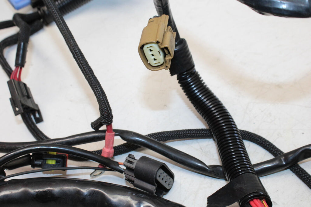 2008 Harley-Davidson V-Rod Vrscaw Main Engine Wiring Harness Motor Wire Loom