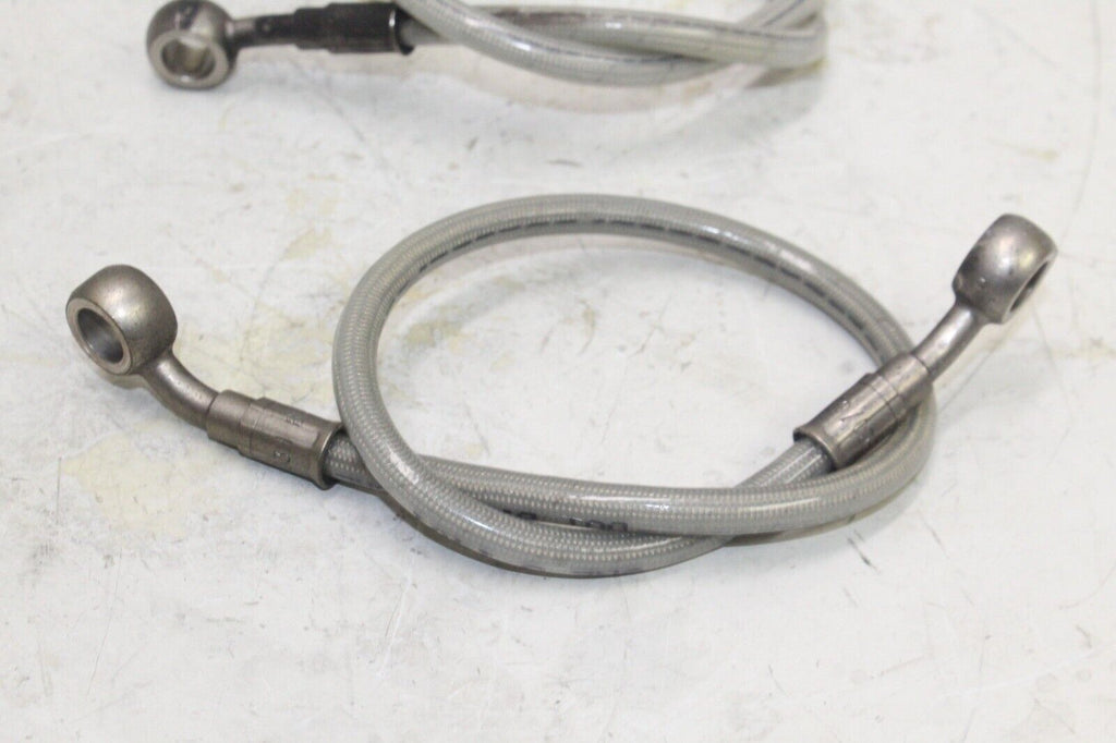2004 Ducati 749 Oem Front Brake Caliper Hoses Lines W Rear Hose