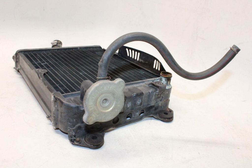 1976 Honda Goldwing 1000 Gl1000 Engine Cooler Cooling Radiator Radiater