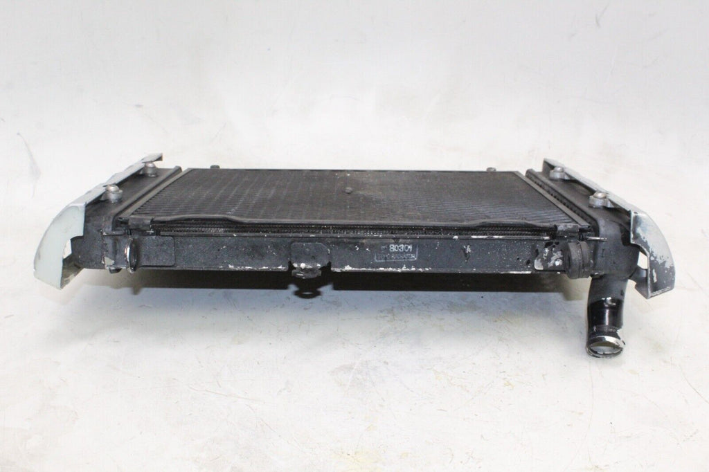 01-05 Yamaha Fz1 Oem Engine Radiator Motor Cooler Cooling Radiater