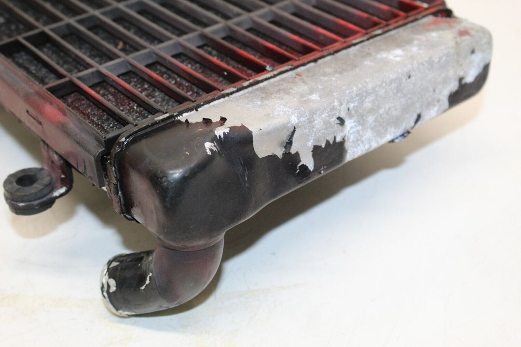 1993 Honda St1100 Radiator Engine Coolant Radiator Grille