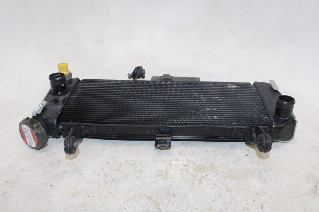 03-09 Suzuki Sv650S Oem Engine Radiator Motor Cooler Cooling Radiater