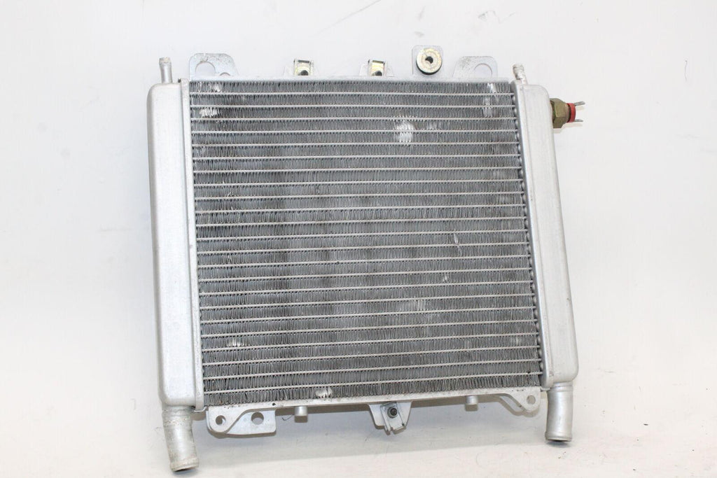 2007 Piaggio Bv 250 Engine Radiator Motor Cooler Cooling Radiater Oem