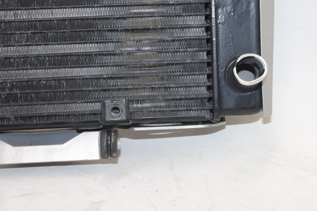 04-06 Yamaha Fz6 Oem Engine Radiator Motor Cooler Cooling Radiater