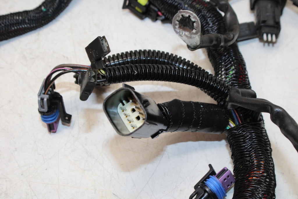 2008 Harley-Davidson V-Rod Vrscaw Main Engine Wiring Harness Motor Wire Loom