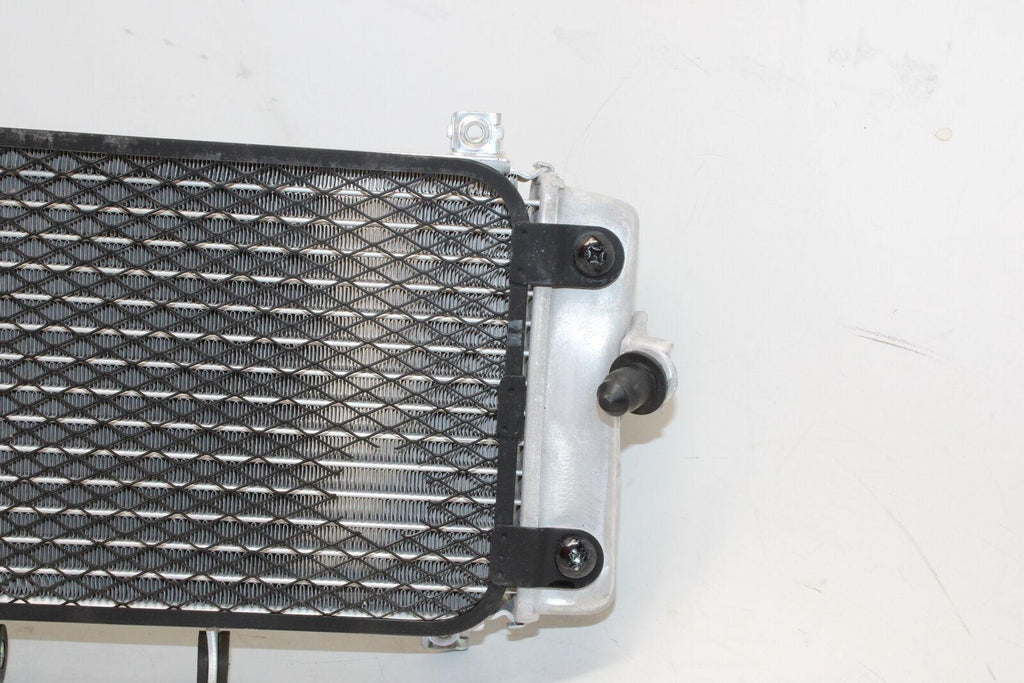 2019 Suzuki Gsxr250R Engine Radiator Motor Cooler Cooling Radiater