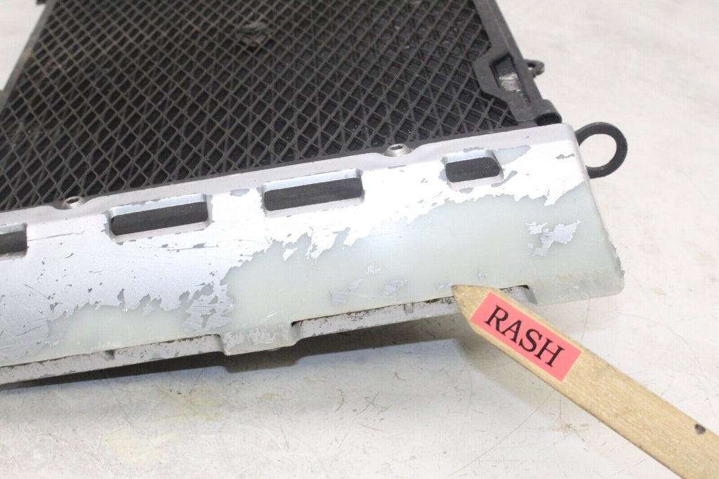 01-05 Yamaha Fz1 Oem Engine Radiator Motor Cooler Cooling Radiater