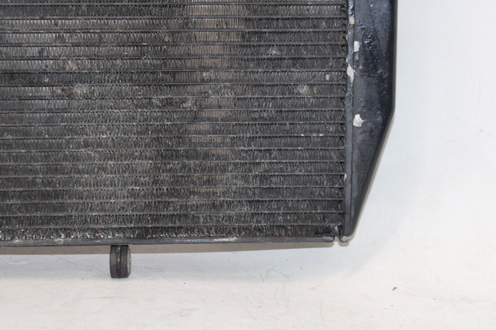02-03 Yamaha Yzf R1 Oem Engine Radiator Motor Cooler Cooling Radiater