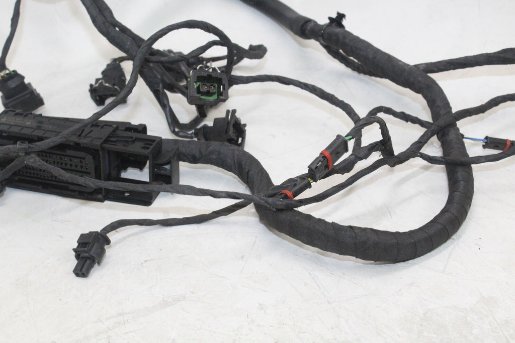 2008-18 Bmw F800Gs Speedo Gauges Wiring Harness Wire Loom Oem