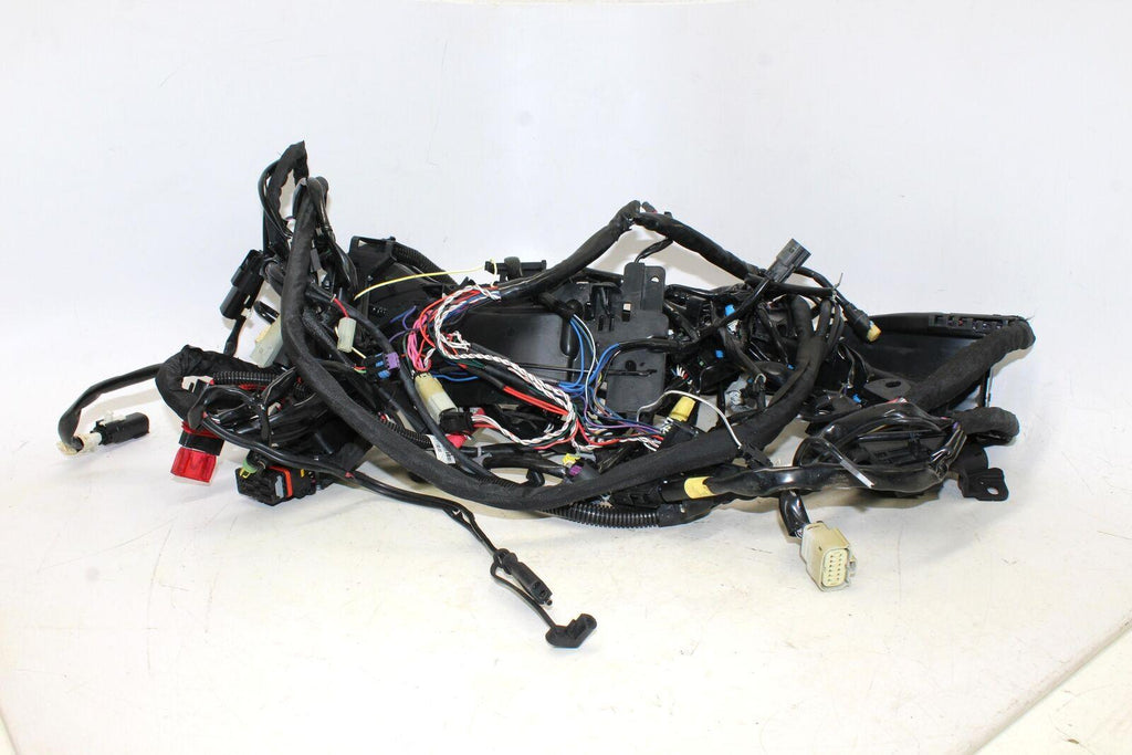 2017 Harley-Davidson Street Glide Flhx Main Wiring Harness Motor Wire 69201125