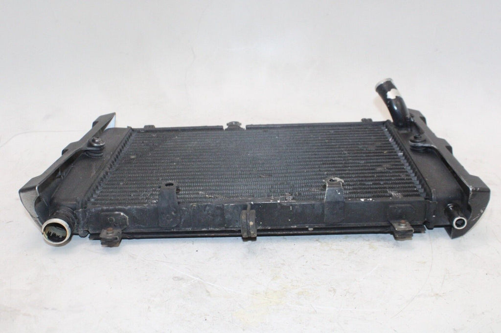 01-05 Yamaha Fz1 Fazer Fzs1000 Oem Engine Radiator Motor Cooler Cooling Radiater