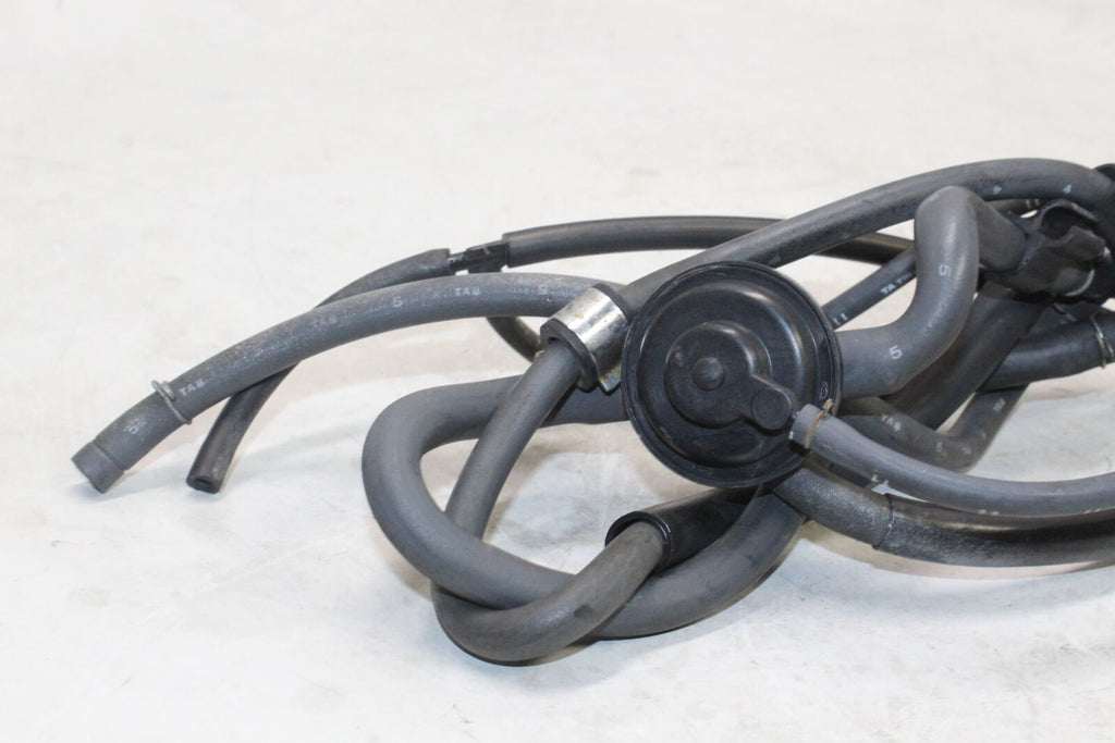 1994 Honda 1100 Vt1100C Hoses Air Pump Solenoid Distributor Oem