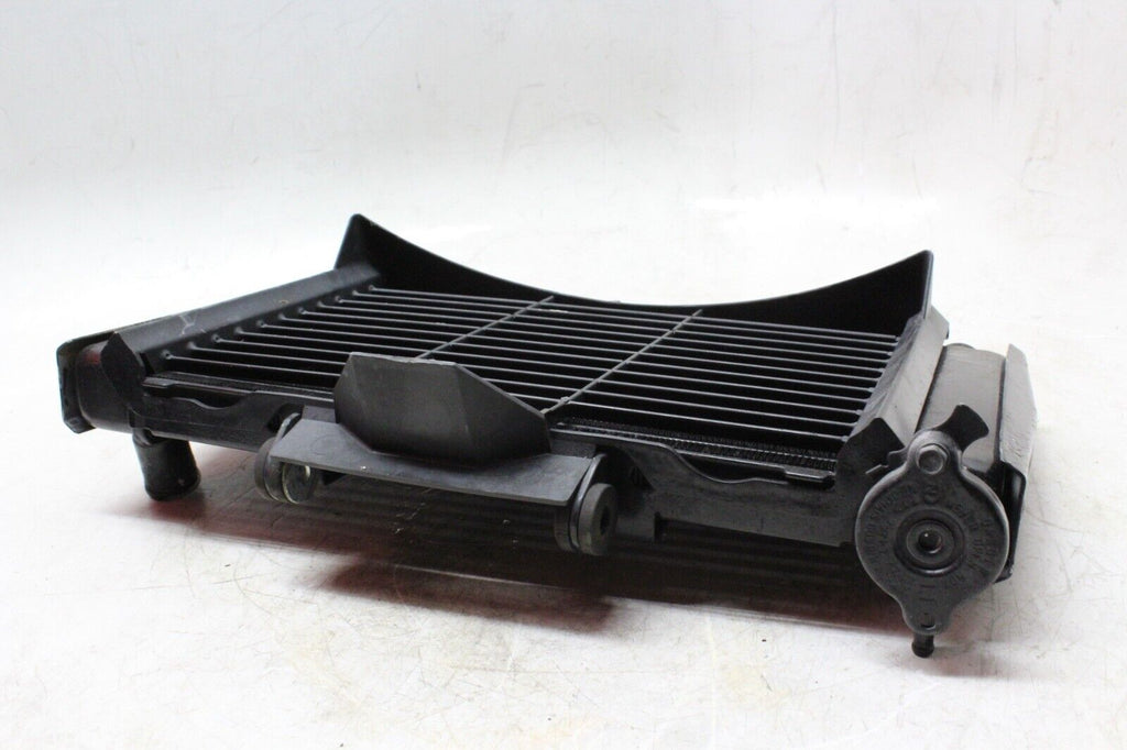 04-06 Yamaha Fz6 Oem Engine Radiator Motor Cooler Cooling Radiater