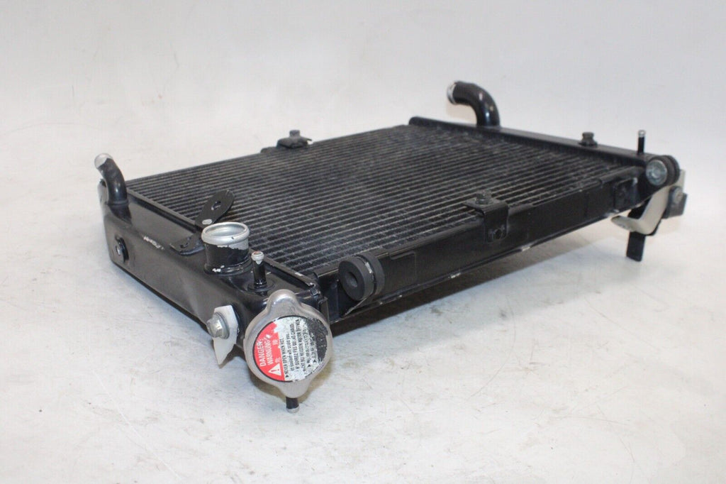 02-03 Yamaha Yzf R1 Oem Engine Radiator Motor Cooler Cooling Radiater