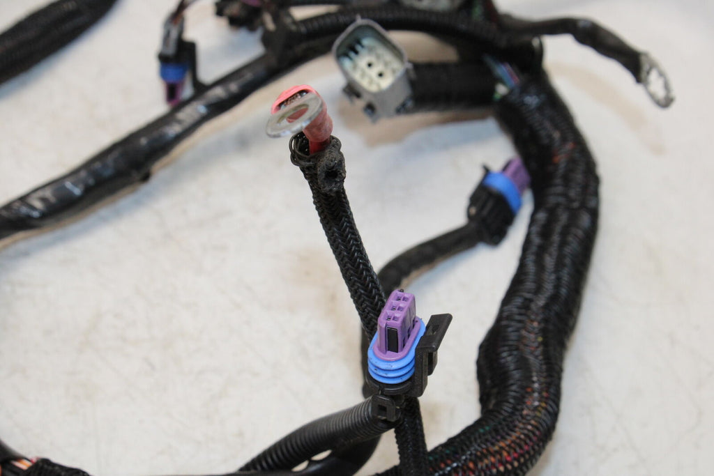 2008 Harley-Davidson V-Rod Vrscaw Main Engine Wiring Harness Motor Wire Loom