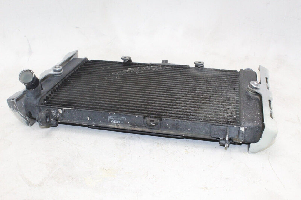 01-05 Yamaha Fz1 Oem Engine Radiator Motor Cooler Cooling Radiater