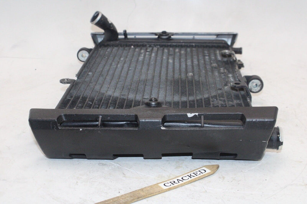 01-05 Yamaha Fz1 Fazer Fzs1000 Oem Engine Radiator Motor Cooler Cooling Radiater