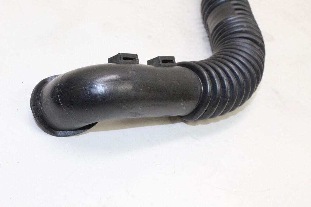 2012 Genuine Scooter Co. Buddy 170I Hose Pipe Oem