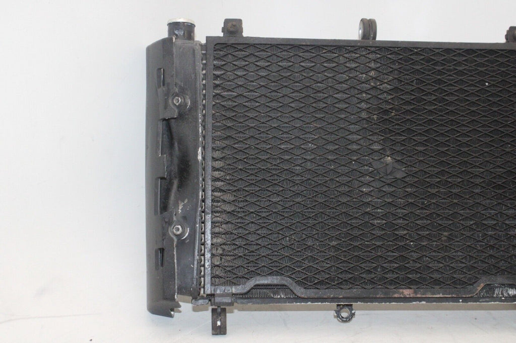 01-05 Yamaha Fz1 Fazer Fzs1000 Oem Engine Radiator Motor Cooler Cooling Radiater