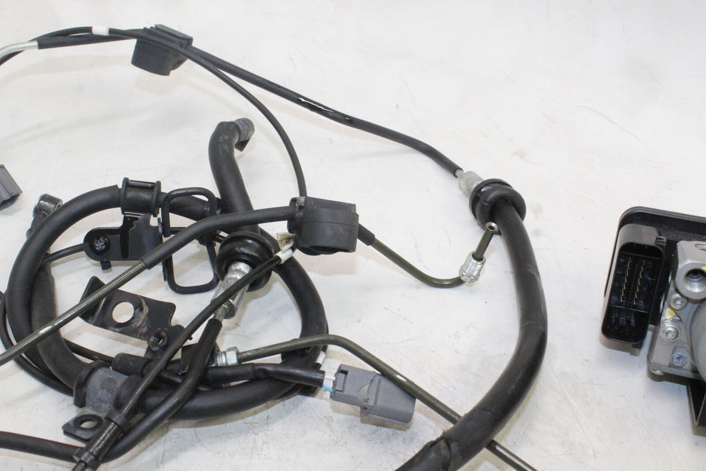 2013-17 Kawasaki Ninja 300 Ex300 Abs Front Rear Hose Set Lines Hoses Pump Oem