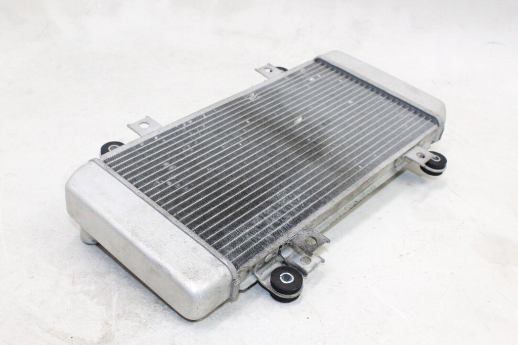 08-12 Kawasaki Ninja 250R Oem Engine Radiator Motor Cooler Cooling Radiater