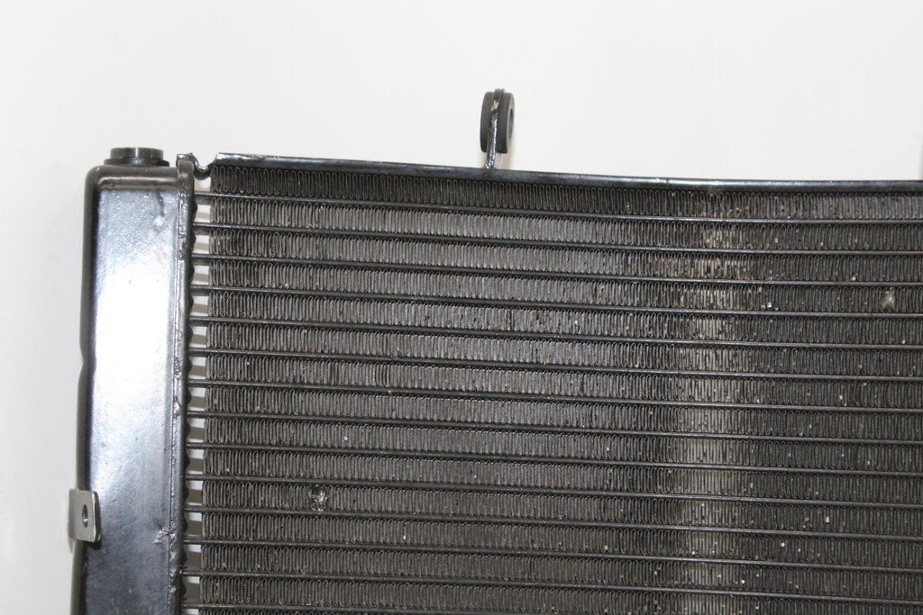 2009-12 Triumph Daytona 675R Engine Radiator Motor Cooler Cooling Radiater Oem