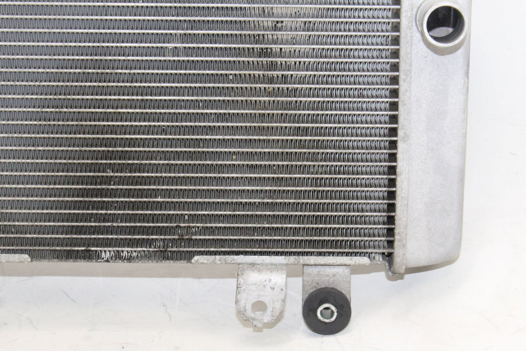 2013-17 Kawasaki Ninja 300 Ex300A Engine Radiator Motor Cooler Cooling Oem