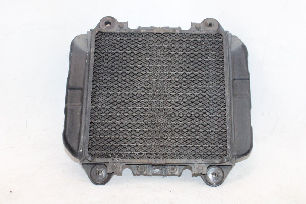 92-07 Kawasaki Ninja 250R Ex250Oem Engine Radiator Motor Cooler Cooling Radiater