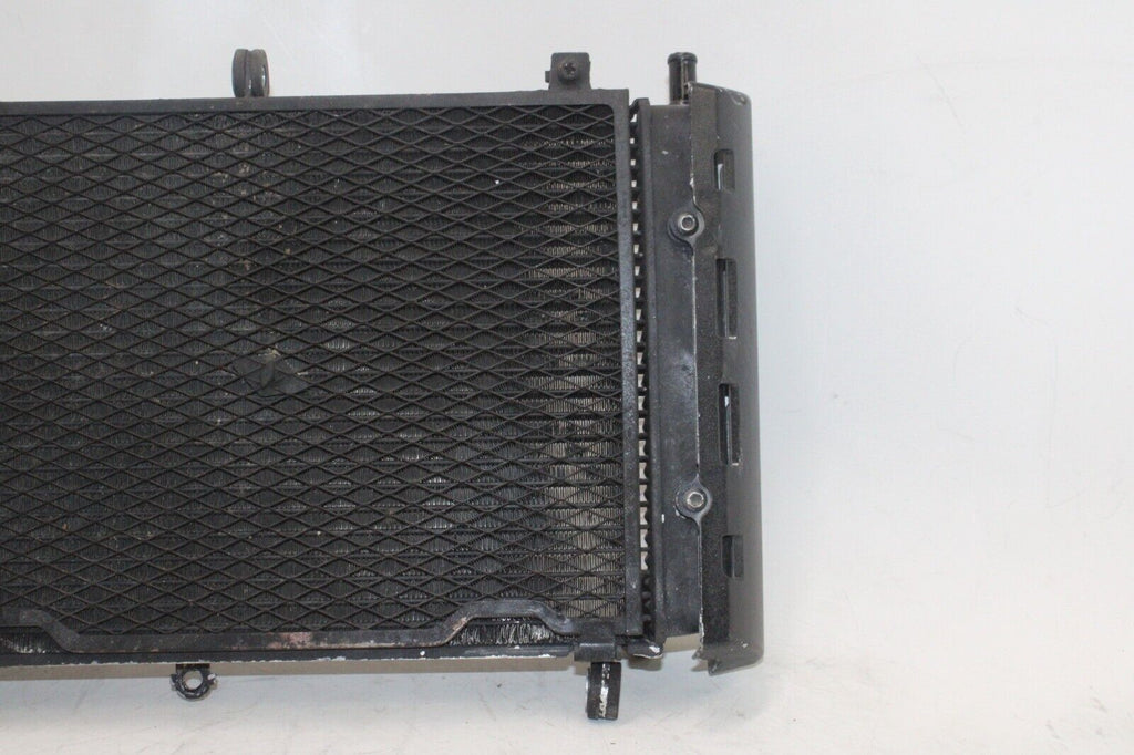 01-05 Yamaha Fz1 Fazer Fzs1000 Oem Engine Radiator Motor Cooler Cooling Radiater