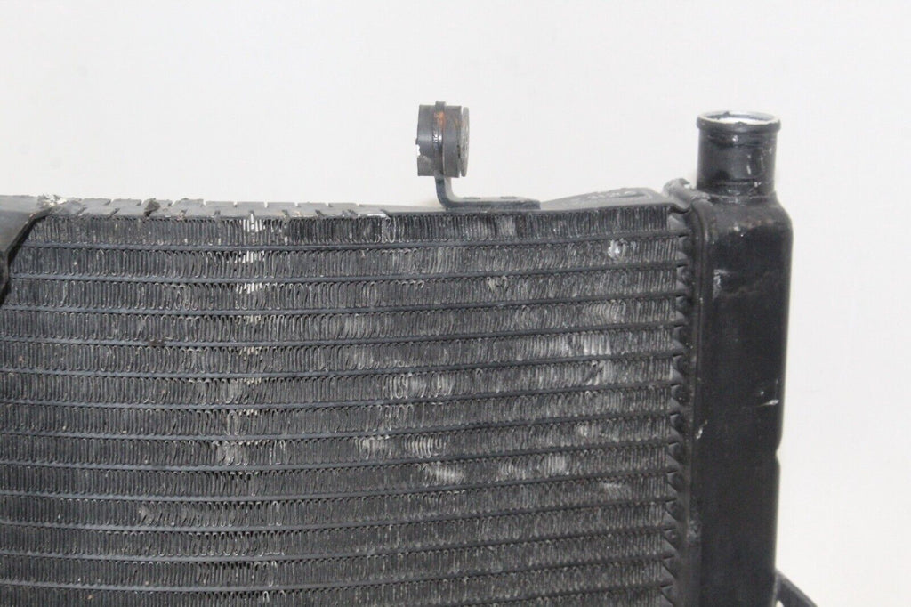 95-98 Honda Cbr600F3 Oem Engine Radiator Motor Cooler Cooling Radiater