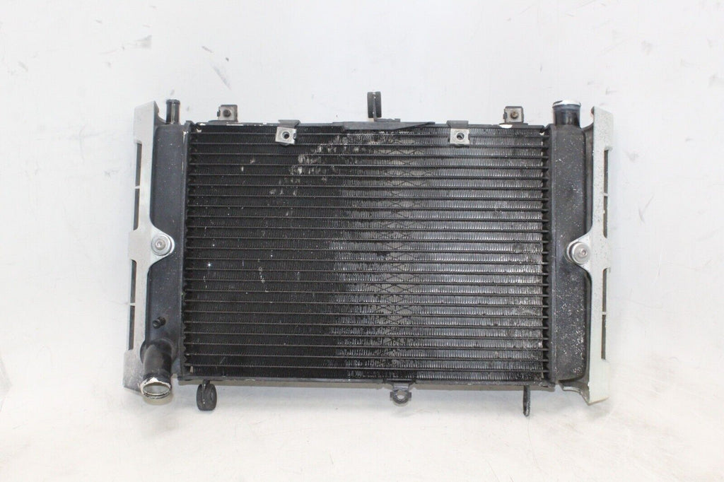 01-05 Yamaha Fz1 Oem Engine Radiator Motor Cooler Cooling Radiater