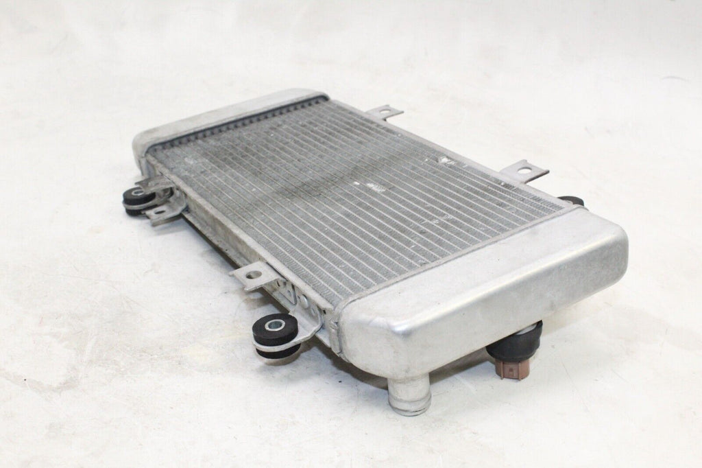 08-12 Kawasaki Ninja 250R Oem Engine Radiator Motor Cooler Cooling Radiater