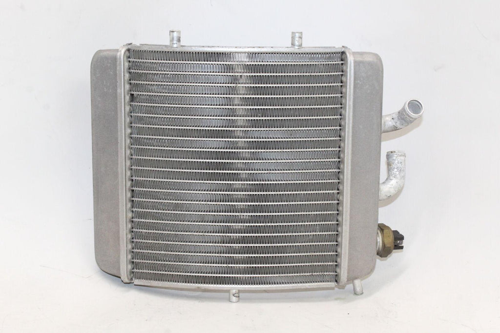 2002 Aprilia Scarabeo 150 Engine Radiator Motor Cooler Cooling Oem