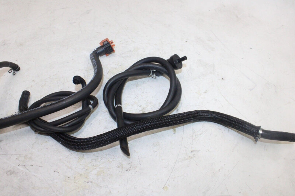 04-06 Yamaha Fz6 Oem Coolant Water Tank Reservoir Bottle