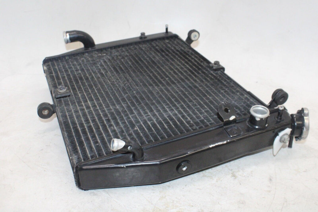 02-03 Yamaha Yzf R1 Oem Engine Radiator Motor Cooler Cooling Radiater