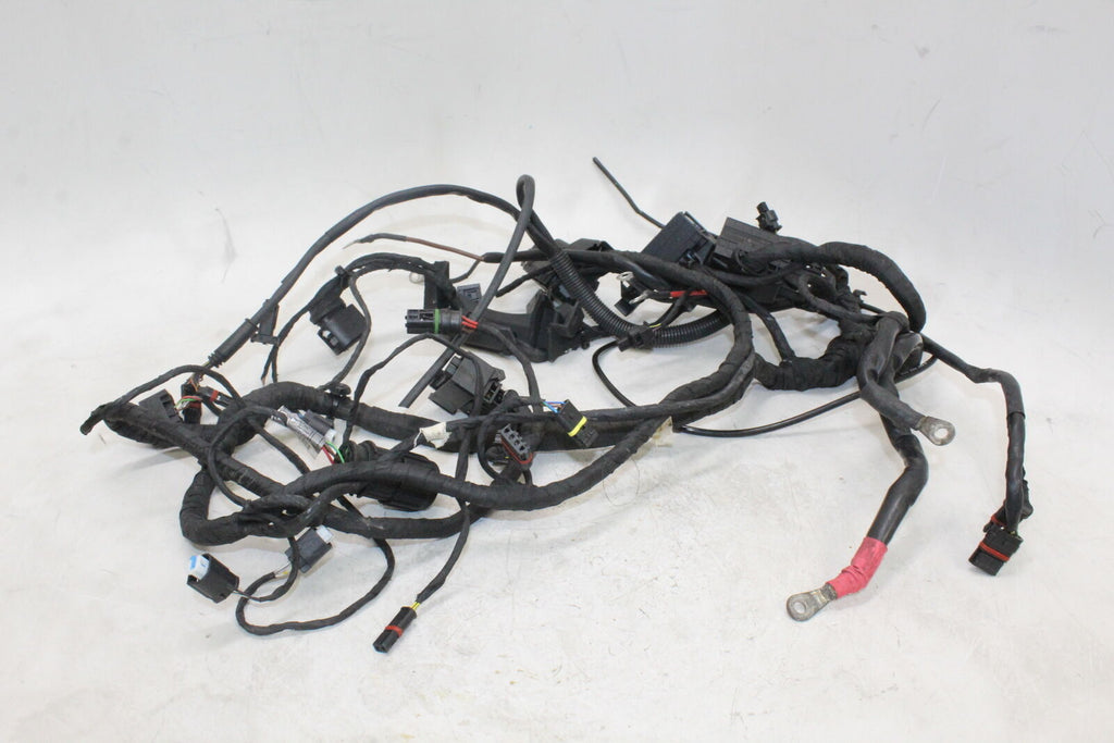 2008-13 Bmw F800Gs Standard Abs Main Engine Wiring Harness Motor Wire Loom Oem