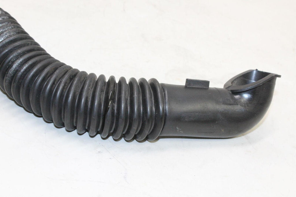 2012 Genuine Scooter Co. Buddy 170I Hose Pipe Oem