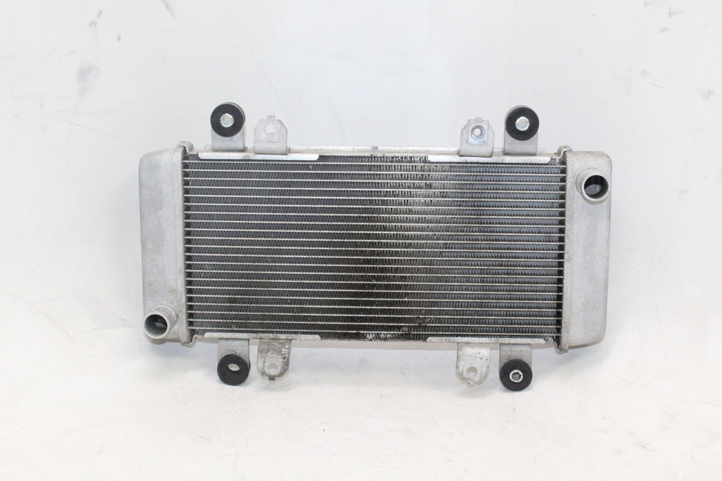 2013-17 Kawasaki Ninja 300 Ex300A Engine Radiator Motor Cooler Cooling Oem