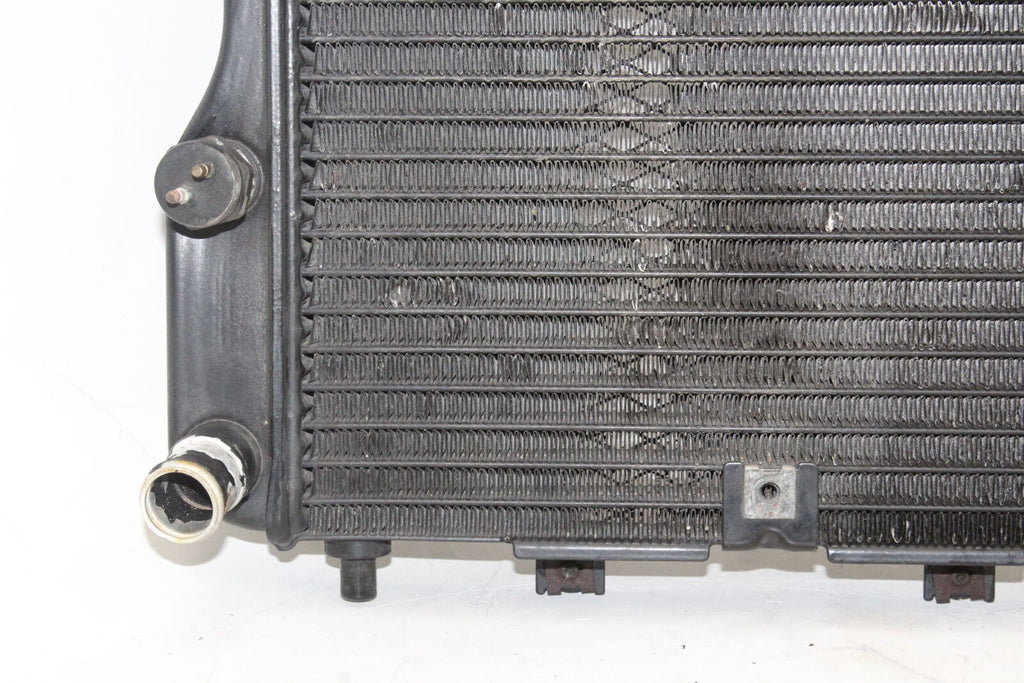 86-06 Kawasaki Concours 1000 Zg1000A Engine Cooler Cooling Radiator Radiater Oem