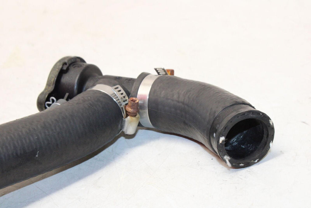 1995 Honda Cbr600F3 Hose With Radiator Cap Set