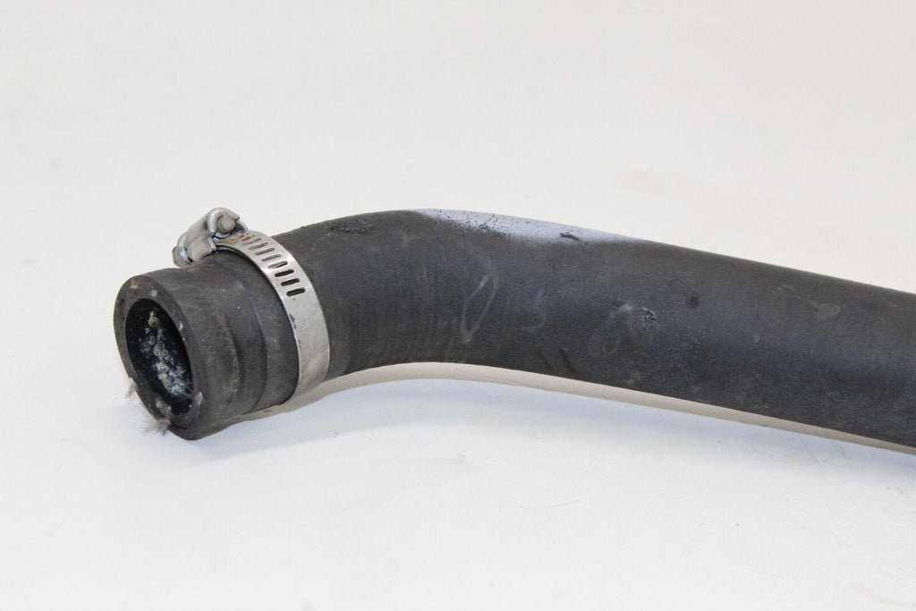 2001-03 Honda Cbr600F4I Radiator Hose Pipe Oem