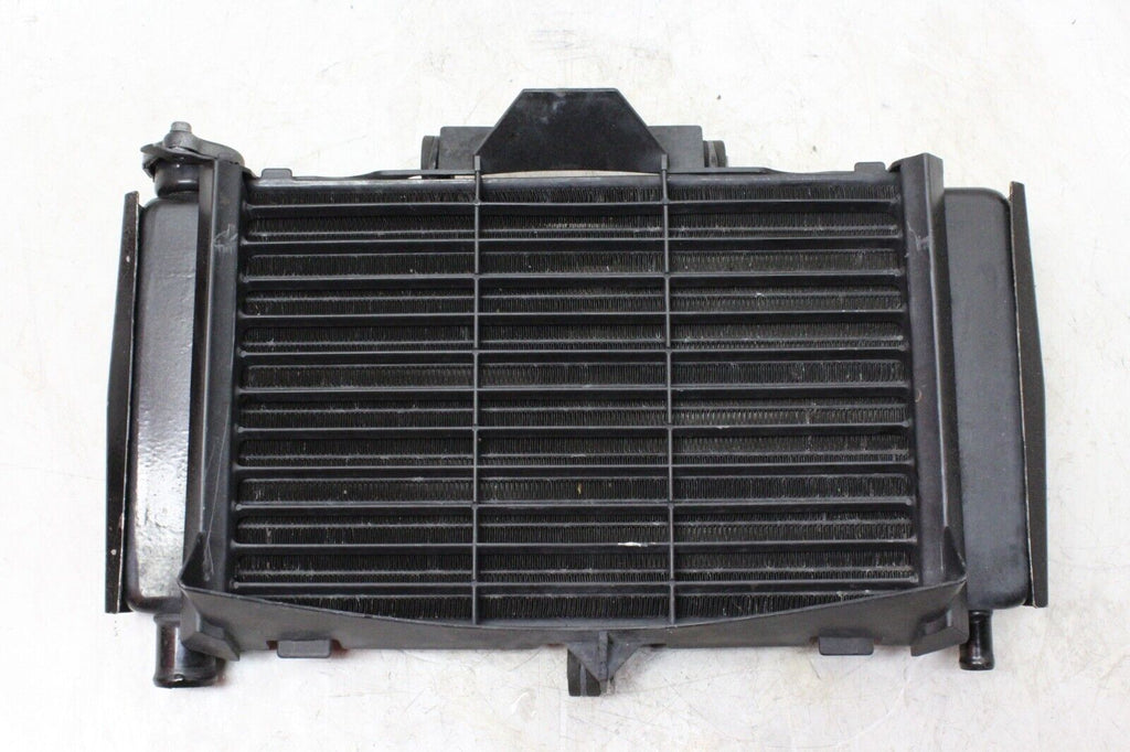 04-06 Yamaha Fz6 Oem Engine Radiator Motor Cooler Cooling Radiater
